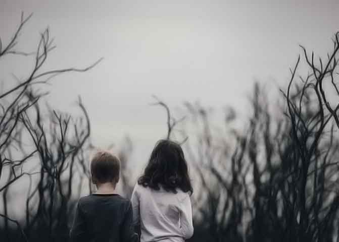 授权码代购的器测压文章